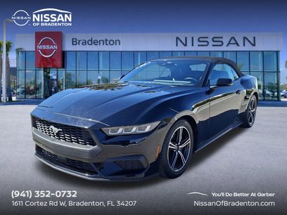 Used 2024 Ford Mustang Premium