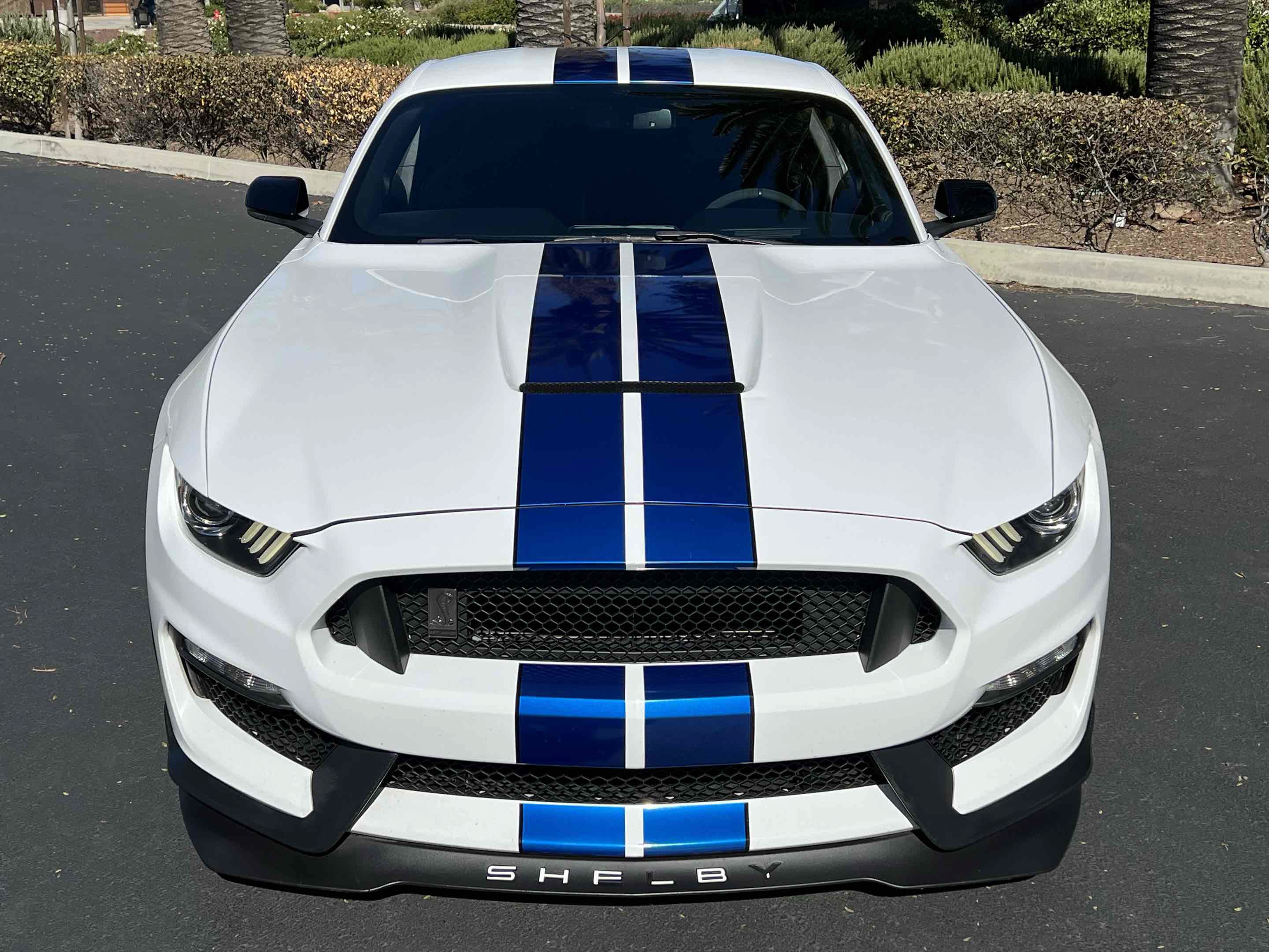Used 2017 Ford Mustang Shelby GT350 RWD image 17