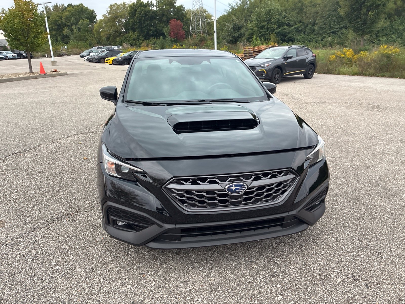 Used 2024 Subaru WRX Premium AWD/4WD image 8