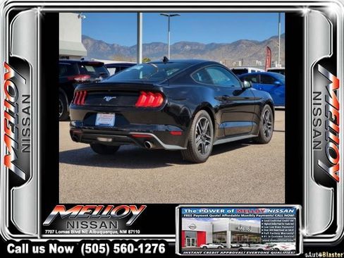 Used 2023 Ford Mustang Premium image 4