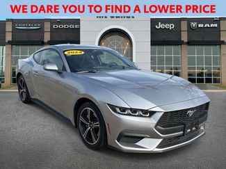 Used 2024 Ford Mustang EcoBoost video 1