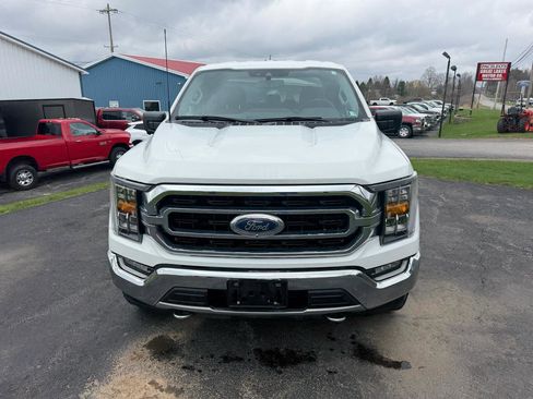 Used 2021 Ford F150 XLT w/ Equipment Group 302A High image 2