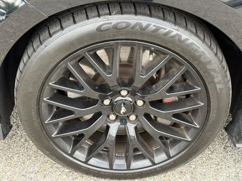 Used 2016 Ford Mustang GT Premium w/ GT Performance Package RWD image 4