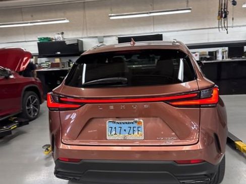 Used 2025 Lexus NX 350h AWD w/ Cold Area Package image 7