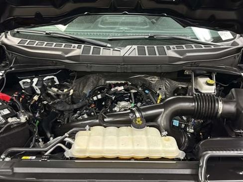 Used 2025 Ford F150 XLT w/ Equipment Group 301A Standard AWD/4WD image 19