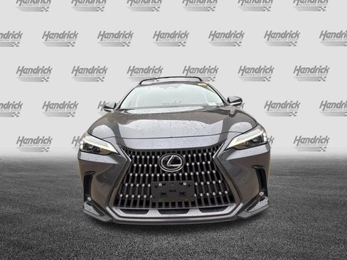 Certified 2024 Lexus NX 350h AWD w/ Cold Area Package image 3
