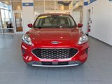 Used 2020 Ford Escape SE image 2