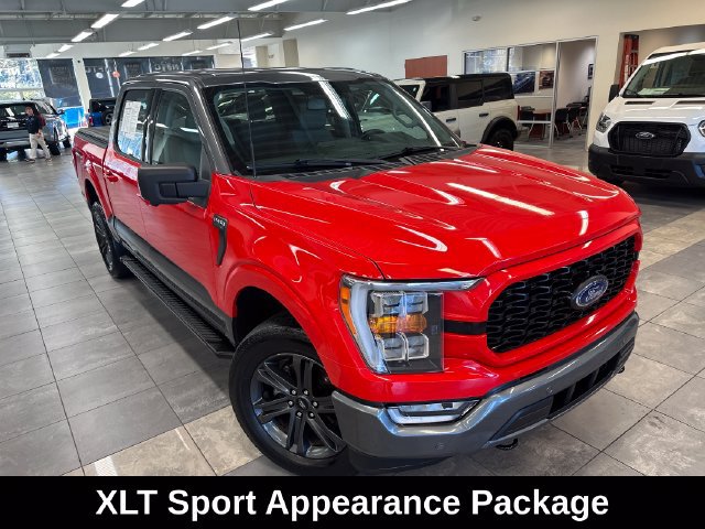 Used 2023 Ford F150 XLT w/ Equipment Group 302A High AWD/4WD image 13