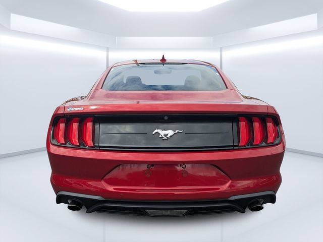 Used 2022 Ford Mustang Coupe w/ Equipment Group 101A RWD image 4