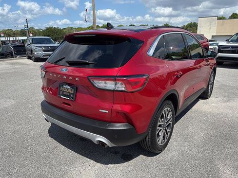 Used 2020 Ford Escape SEL FWD image 5