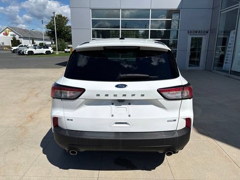 Used 2020 Ford Escape SE AWD/4WD image 6
