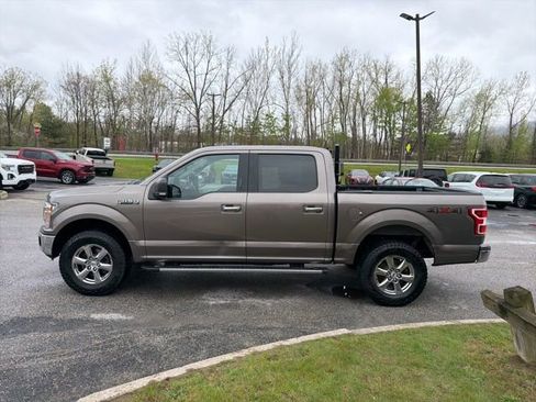 Used 2019 Ford F150 XLT w/ Equipment Group 302A Luxury AWD/4WD image 6