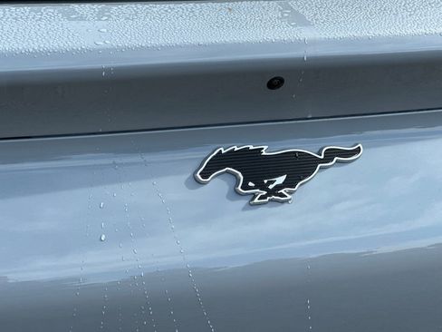 New 2025 Ford Mustang Mach-E Premium image 6