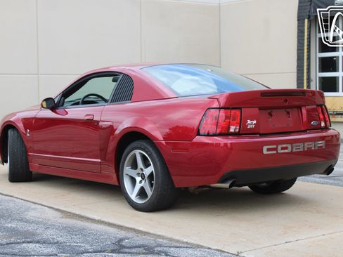Used 2003 Ford Mustang Cobra RWD image 8