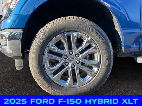 New 2025 Ford F150 XLT w/ Equipment Group 302A MID image 14