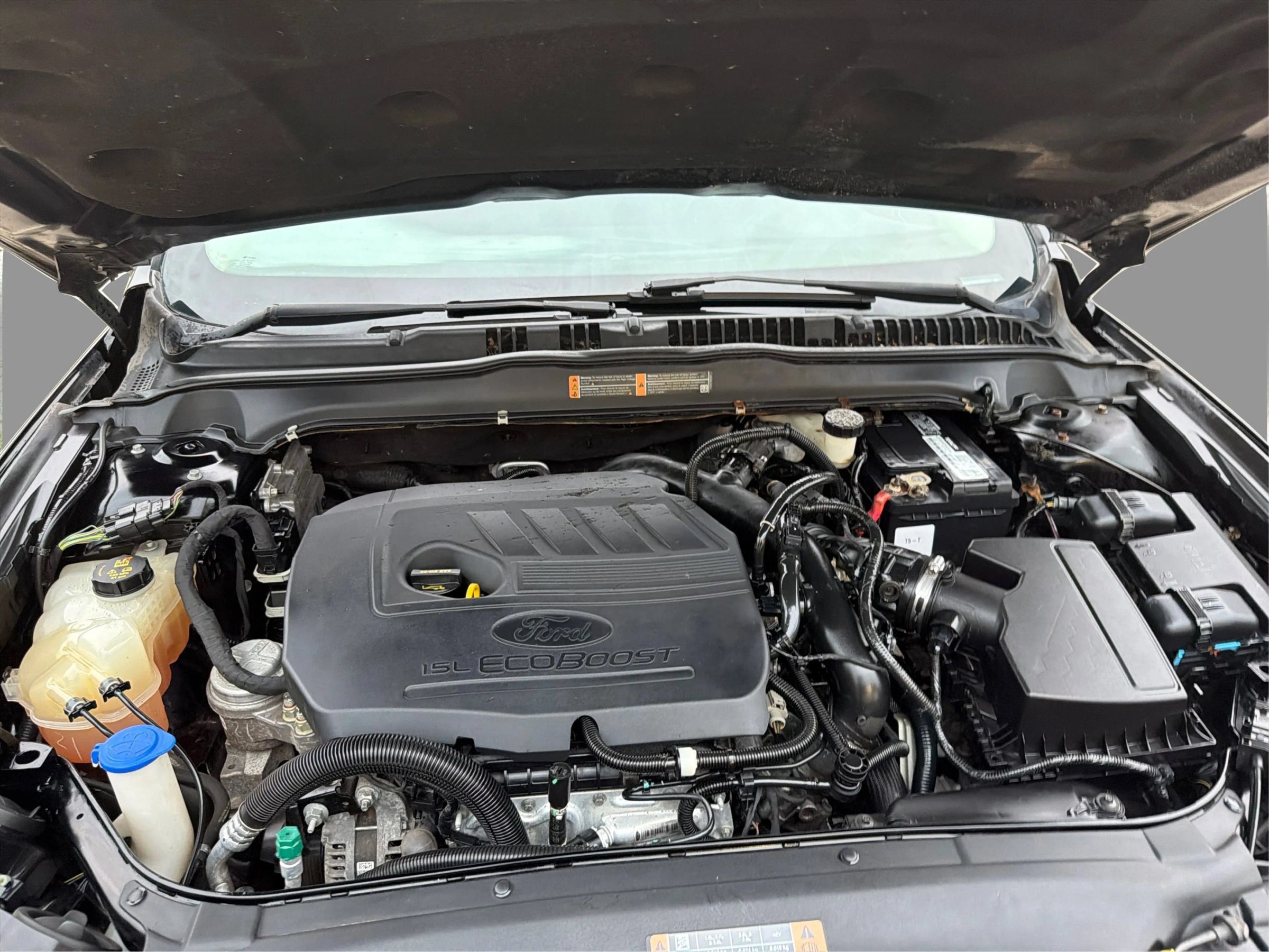 Used 2017 Ford Fusion SE FWD image 13