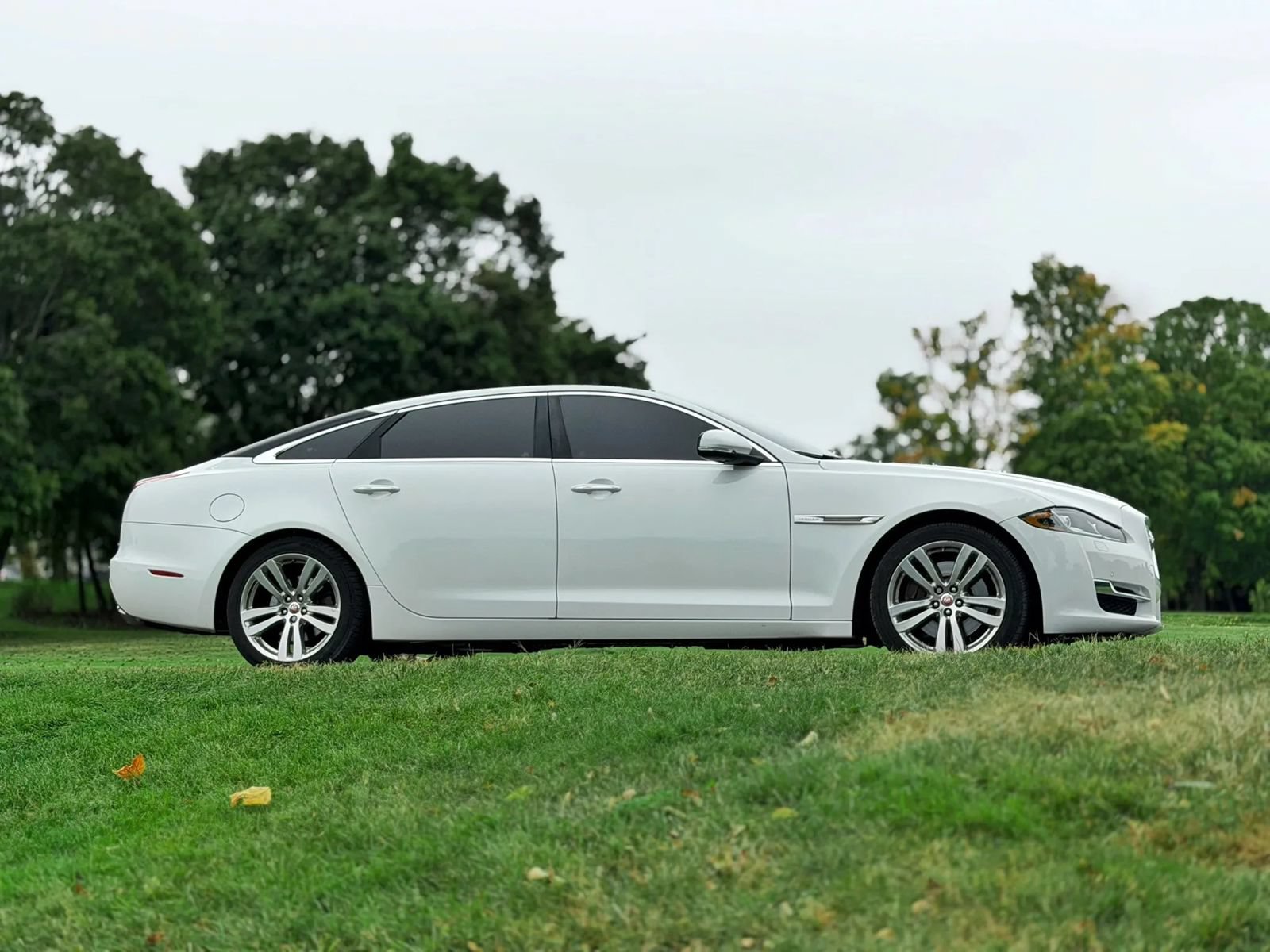 Used 2017 Jaguar XJ L Portfolio AWD/4WD image 9