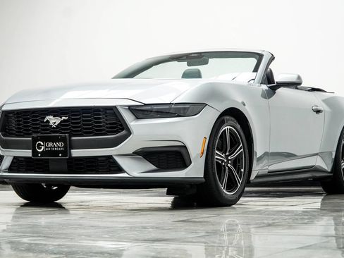 Used 2025 Ford Mustang Premium RWD image 10