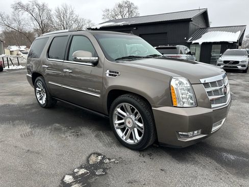 Used 2014 Cadillac Escalade Platinum image 1