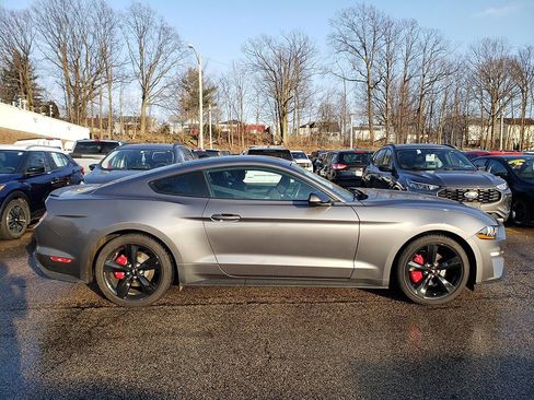 Used 2021 Ford Mustang Coupe w/ Equipment Group 101A image 3