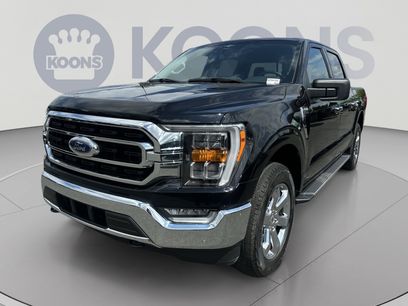 Certified 2023 Ford F150 XLT w/ Equipment Group 302A High