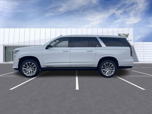 Used 2021 Cadillac Escalade ESV Premium Luxury Platinum image 5