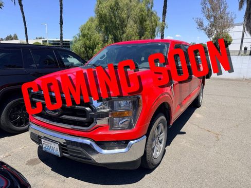 Used 2023 Ford F150 XLT RWD image 1