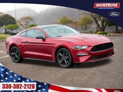 Certified 2023 Ford Mustang EcoBoost w/ Equipment Group 101A