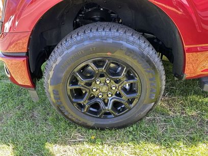 New 2026 Ford F150 XLT w/ Equipment Group 302A MID