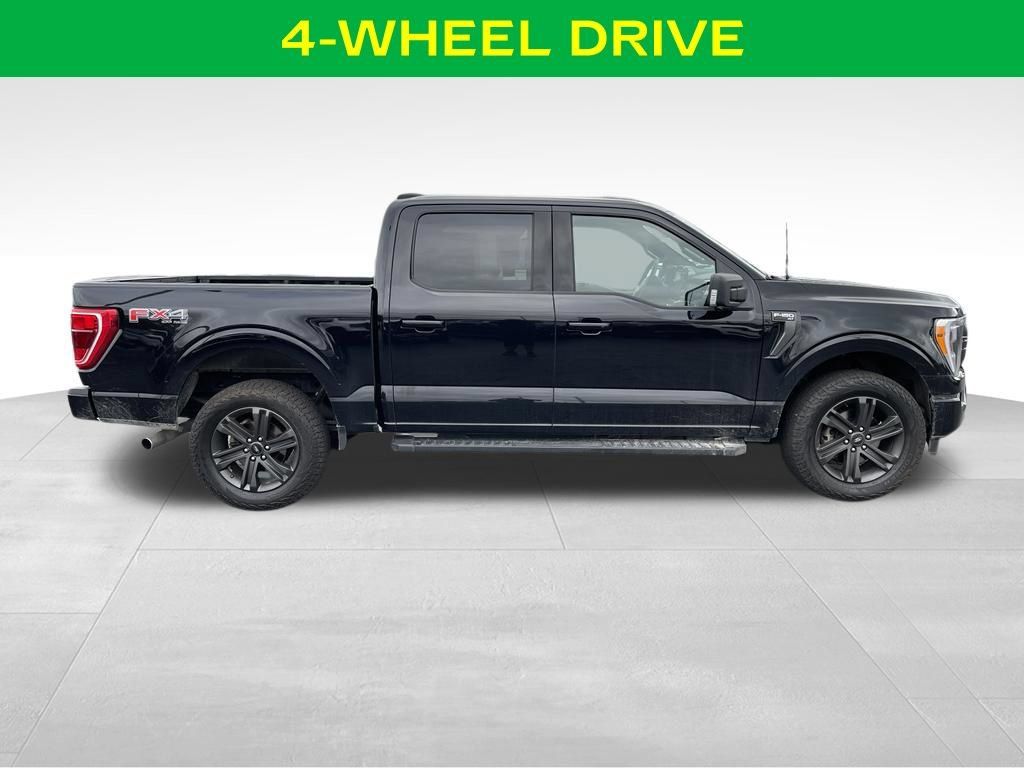 Used 2023 Ford F150 XLT w/ Equipment Group 302A High AWD/4WD image 6