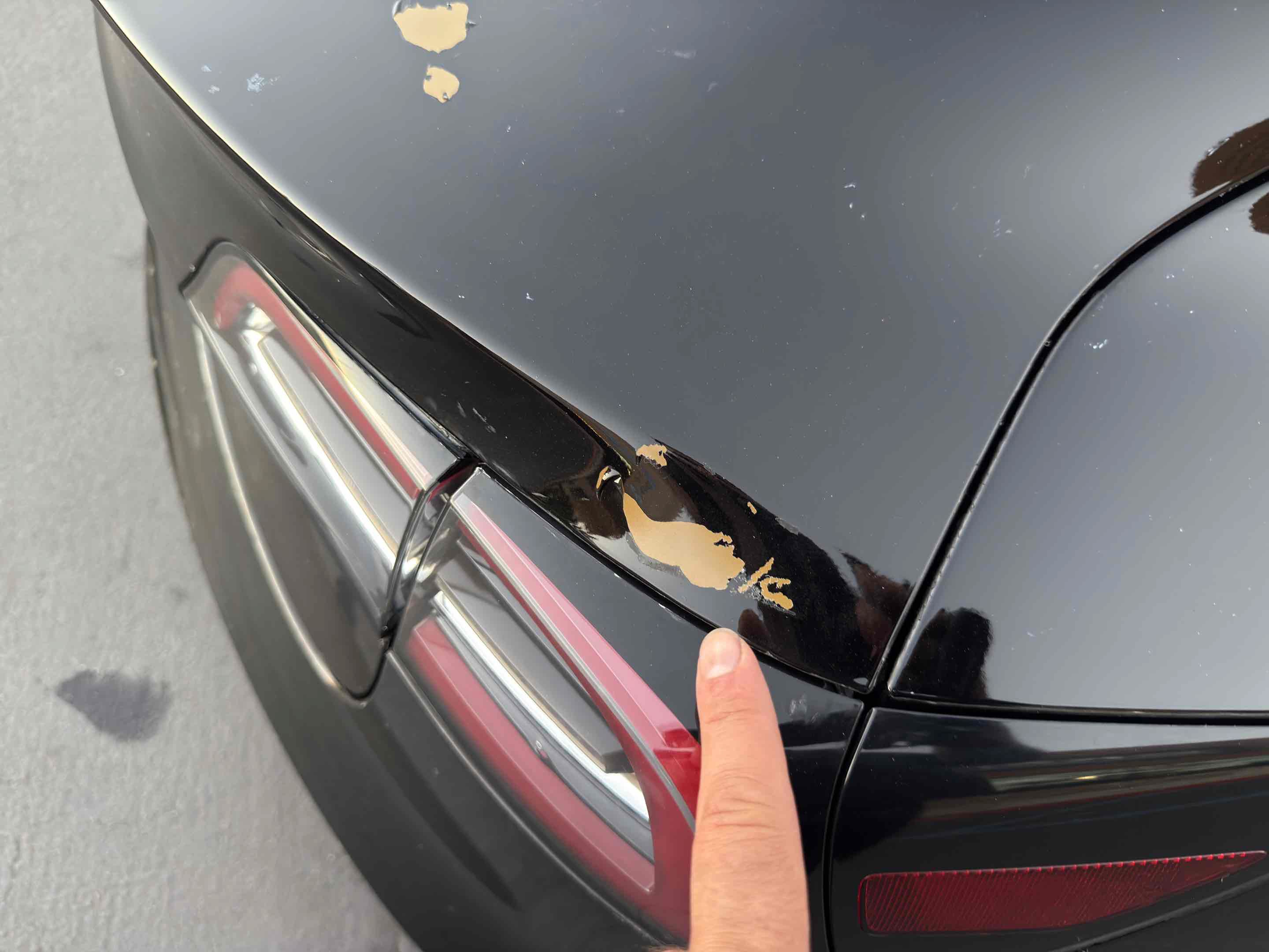 Used 2019 Tesla Model 3 Long Range AWD/4WD image 53