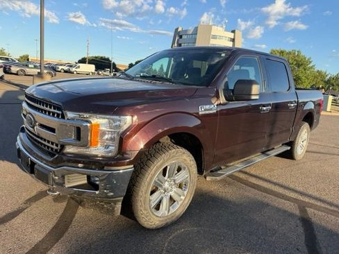 Used 2019 Ford F150 XLT w/ Equipment Group 302A Luxury AWD/4WD image 6