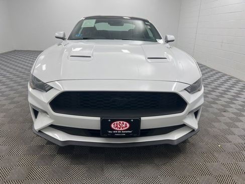 Used 2019 Ford Mustang Coupe w/ Equipment Group 101A image 3