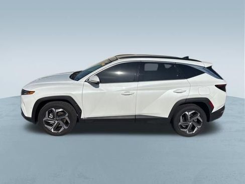 Used 2022 Hyundai Tucson Limited AWD/4WD image 14