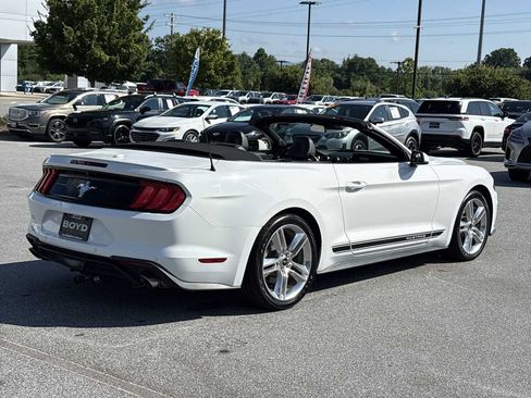 Used 2019 Ford Mustang Premium w/ Equipment Group 201A RWD image 6