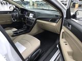 Used 2016 Hyundai Sonata Sport w/ Cargo Package image 5
