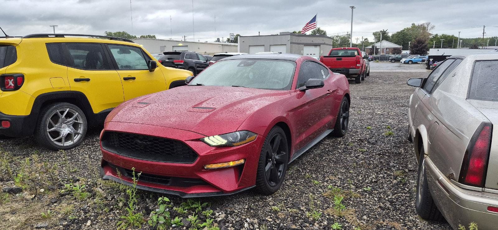 Used 2022 Ford Mustang Coupe w/ Equipment Group 101A RWD image 1