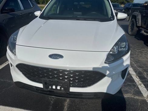 Used 2020 Ford Escape SE AWD/4WD image 2