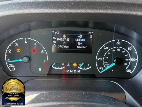 Used 2024 Ford Transit 250 Low Roof w/ Exterior Upgrade Package RWD image 12