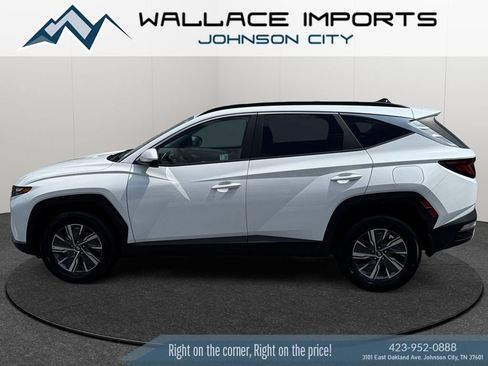 Used 2024 Hyundai Tucson Blue AWD/4WD image 1