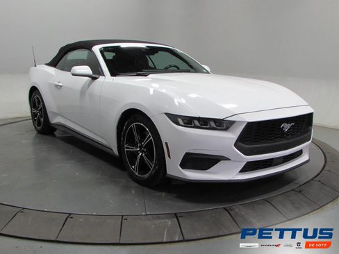 Used 2024 Ford Mustang Premium RWD image 1