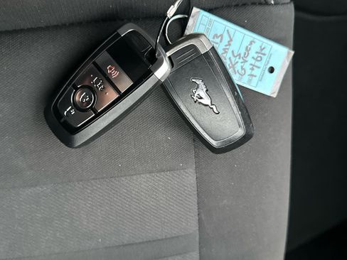 Used 2019 Ford Mustang Coupe image 19