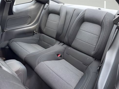 New 2026 Ford Mustang Coupe w/ Mustang Nite Pony Package image 26