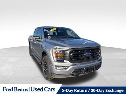 Certified 2023 Ford F150 XLT w/ Equipment Group 302A High