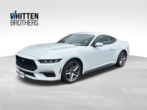 Used 2024 Ford Mustang Premium RWD image 1