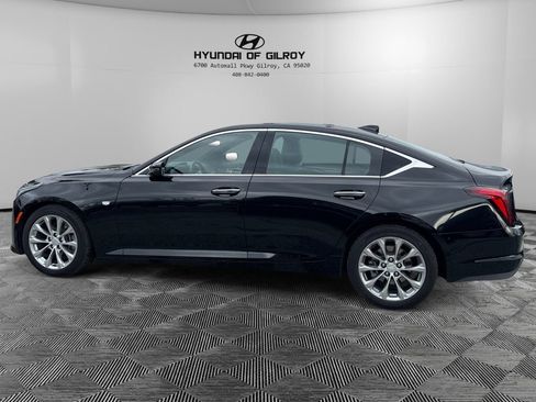 Used 2024 Cadillac CT5 Premium Luxury w/ Climate Package image 8
