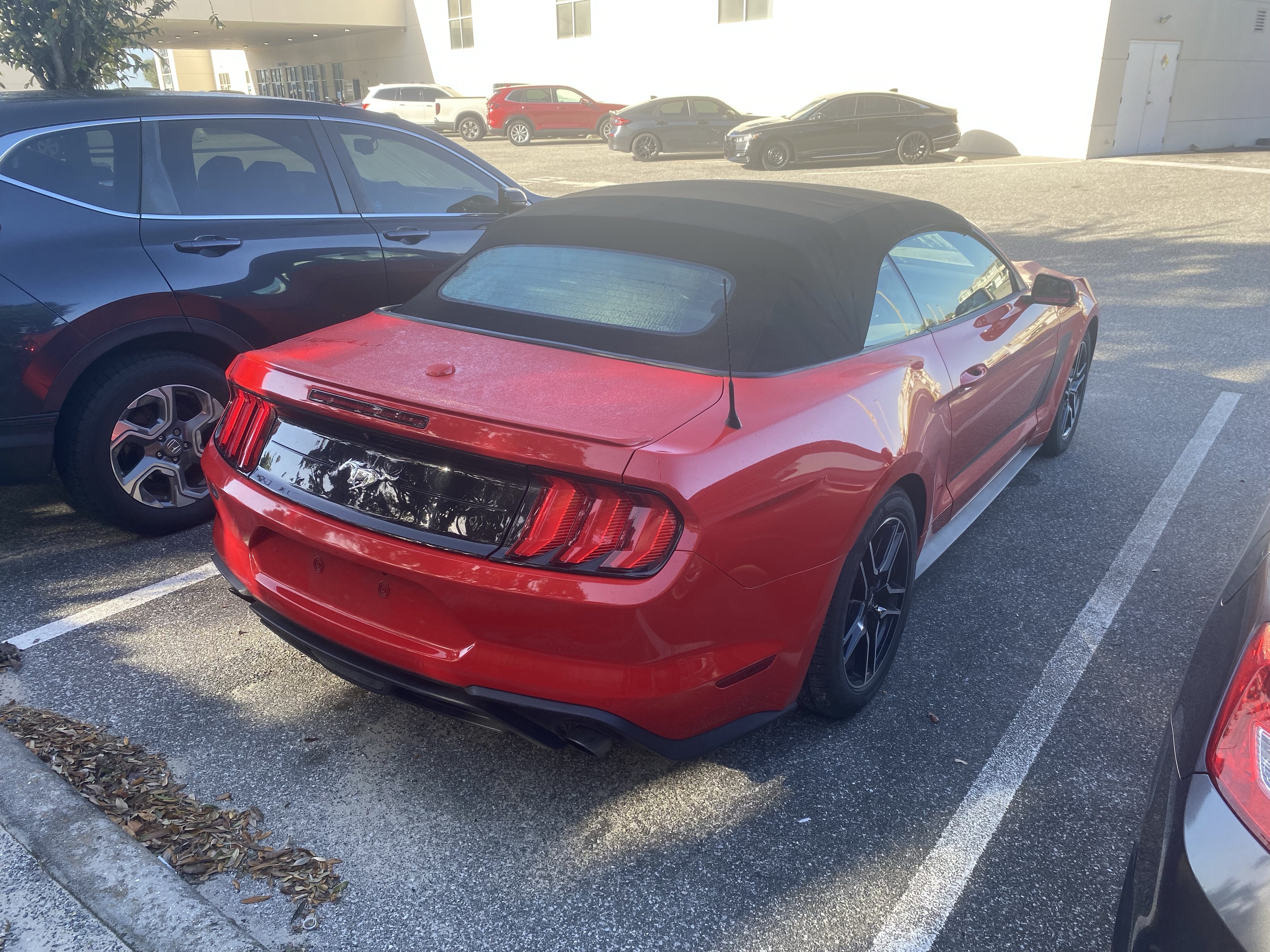 Used 2018 Ford Mustang Premium w/ Equipment Group 201A RWD image 8