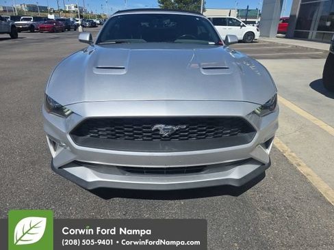Used 2019 Ford Mustang Premium RWD image 3