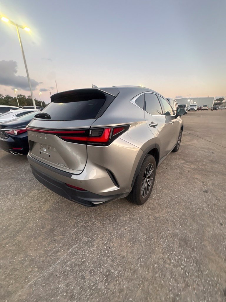 Used 2024 Lexus NX 250 FWD w/ Cold Area Package image 3