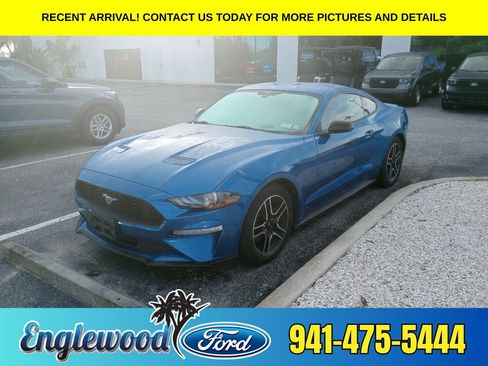 Used 2019 Ford Mustang Coupe w/ Equipment Group 101A RWD image 1